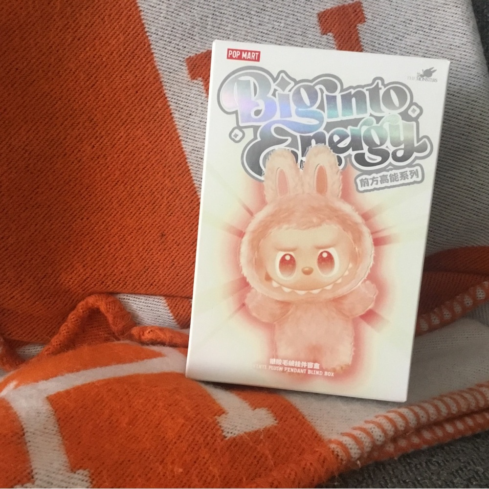Labubu NWT Unopened Blind Box